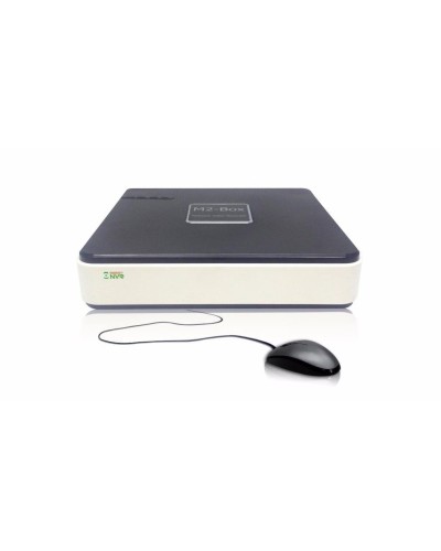 BestNVR-400. IP-видеосервер 4-канальный. BestDVR в Ессентуках