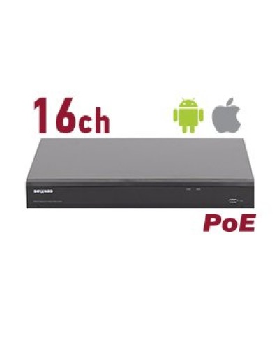 RK2216-P. Видеорегистратор IP 16-канальный. Beward в Ессентуках
