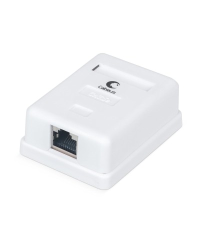 WS-8P8C-Cat.5e-SH-1 (7485c): Розетка RJ-45 в Ессентуках