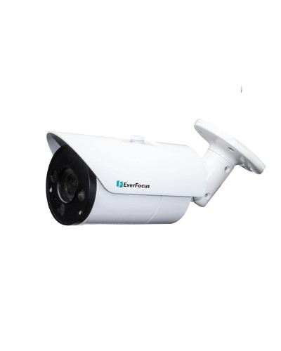 EZN-268V. Видеокамера IP купольная. EverFocus в Ессентуках