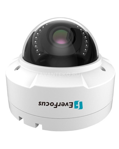 EHN-1250. Видеокамера IP купольная. EverFocus в Ессентуках