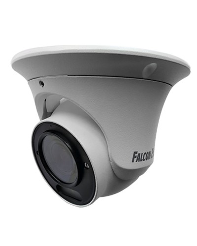 FE-IPC-DV2-40pa. Видеокамера IP купольная. Falcon EYE в Ессентуках