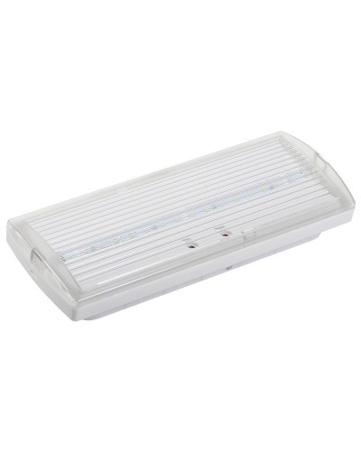Светильник аварийный ДПА 5030-1 1ч IP20 LIGHTING (LDPA0-5030-1H-K01). Светильник аварийный постоянного действия. IEK в Ессентуках