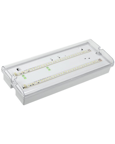 Светильник аварийный ДПА 5042-3 3ч IP65 LIGHTING (LDPA0-5042-3-65-K01). Светильник аварийный универсальный. IEK в Ессентуках