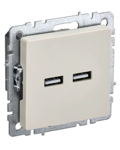 Розетка USB A+A 3,1А РЮ10-1-БрКр бежевый BRITE (BR-U21-D31-K10). Розетка USB. IEK в Ессентуках