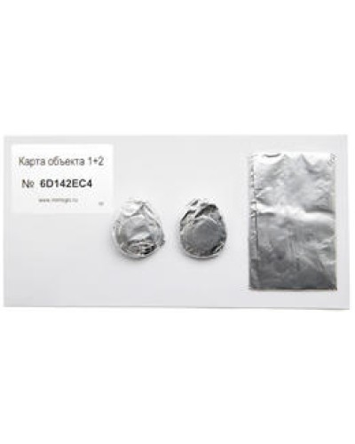 Карта объекта 1+2. Проксимити карта. IronLogic в Ессентуках