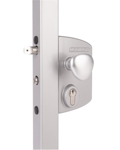 LIKQ4040 U2L (цвет: RAL 9005, черный). Замок электромеханический для калиток. Locinox в Ессентуках