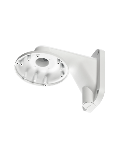 RVi-1BWM-5 white. Кронштейн настенный. RVi в Ессентуках