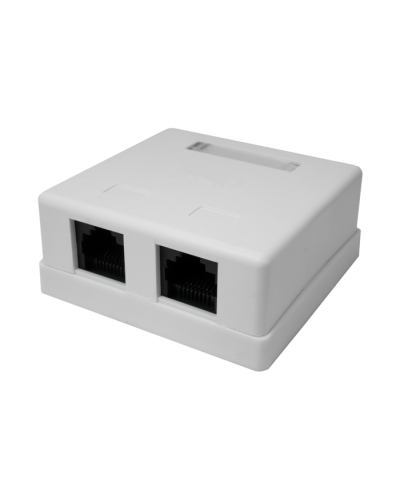 Розетка настенная RJ-45, 8P8C, Cat.5e, 2 порта UTP (10-0309): Компьютерная розетка в Ессентуках