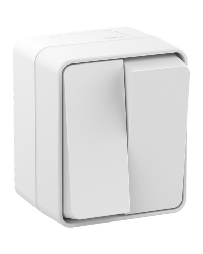 AtlasDesign PROFI54 выключатель 2-клавишный, открытой установки, белый (ATN540151). Выключатель. Systeme Electric в Ессентуках