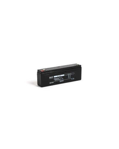 SKAT SB 12022 (2539). Аккумулятор герметичный свинцово-кислотный. Бастион в Ессентуках