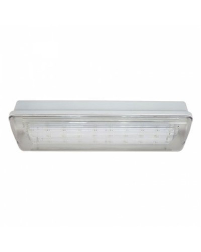 SL-223-30LED1.8 исп.1 IP54. Светильник аварийного освещения. ИП Раченков А.В. в Ессентуках