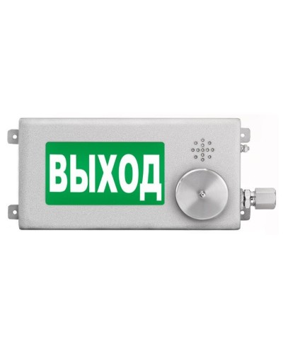 ТСВ-Exi-Н-Прометей-МИНИ 12-36В ВЫХОД. Оповещатель охранно-пожарный световой взрывозащищенный (табло). Спектрон НПО в Ессентуках
